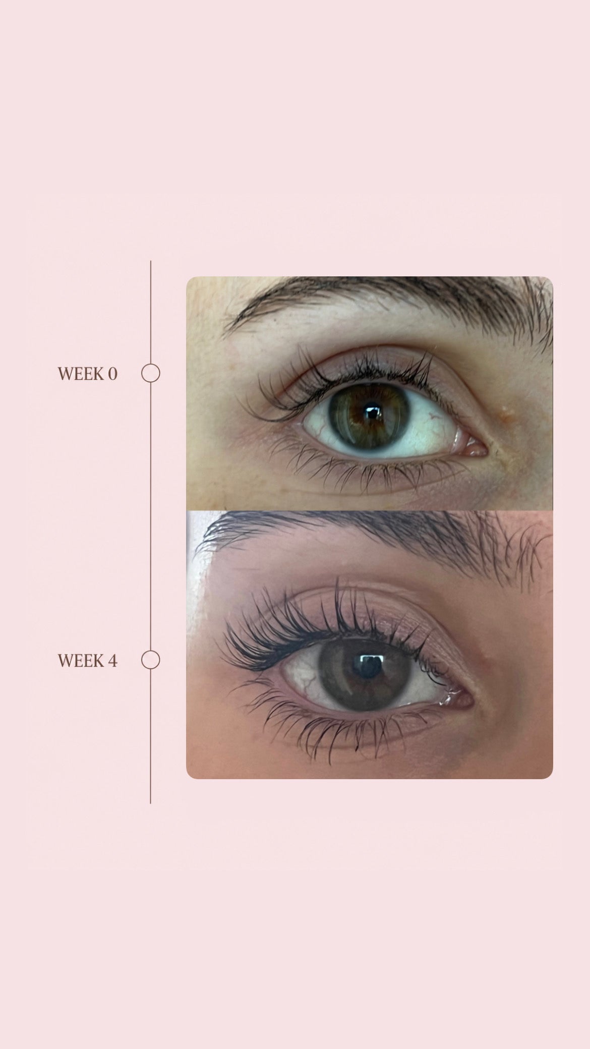 Luvix Lash Serum