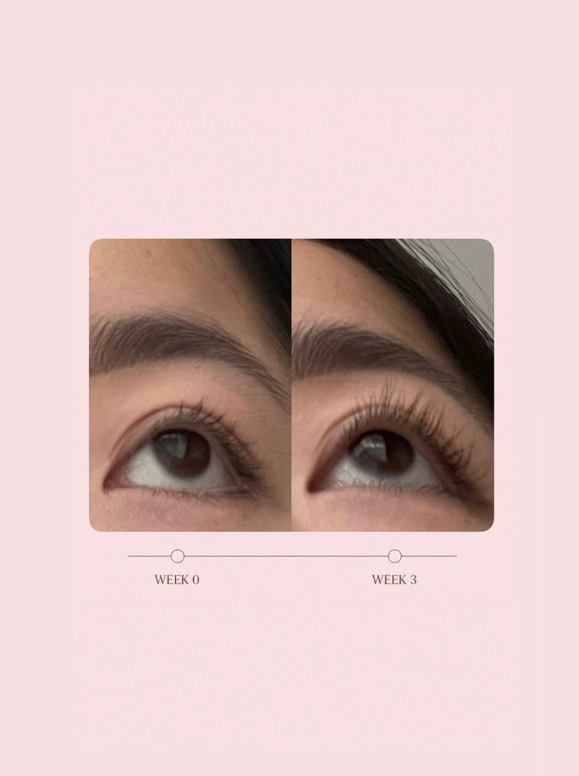 Luvix Lash Serum