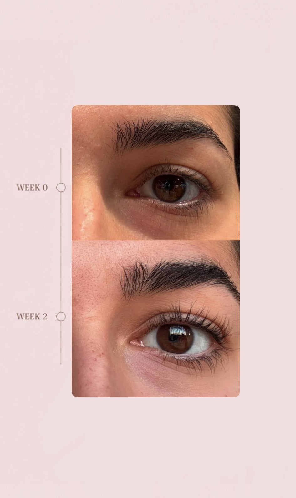 Luvix Lash Serum